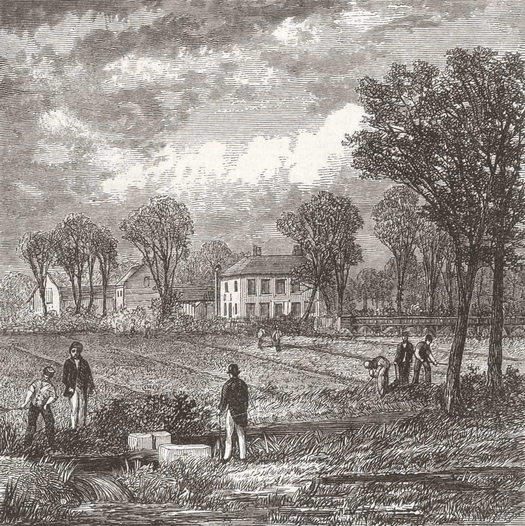 FARMING. The Sewage Farm 1868 old antique vintage print picture